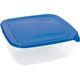 Átlátszó műanyag ételtartó kék fedéllel, 2,9 liter űrtartalommal. Kiváló minőségű anyagból készült, hűtőszekrényben tárolható, mikrohullámú sütőben melegíthető és mosogatógépben tisztítható.