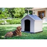 Kép 3/8 - Konyhakertben elhelyezett KETER kutyaház, tágas belső térrel és megemelt padlóval. A kutya a zöld fűben fekszik mellette, biztosítva a kényelmet és védelmet az időjárás viszontagságaival szemben.