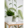 Kép 3/3 - krém színű CURVER 'MY STYLE' S méretű rattan hatású tartó kosár