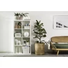 Kép 5/6 - A krém színű CURVER 'MY STYLE' S méretű rattan kosár a polcon helyezkedik el, amely modern nappali környezetben található. A kosár elegáns dizájnja és kézreálló fogantyúi praktikus tárolást biztosítanak.